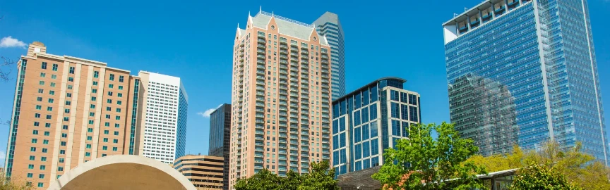 Top 20 Things to Do in Houston