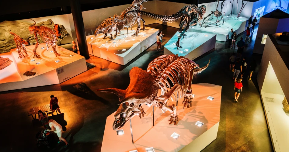 Una guía perfecta de 2 días para explorar Houston