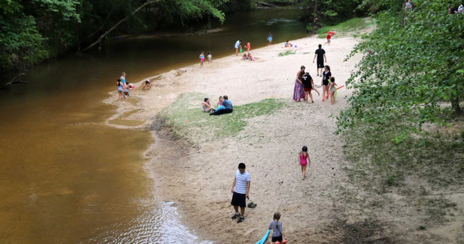 9 Best Gardens and Parks in Houston, TX