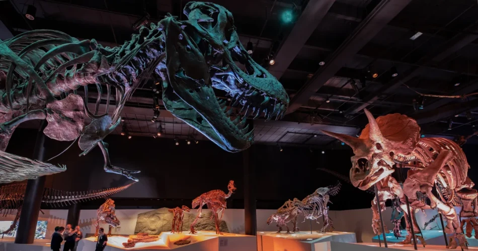 Top 8 Things to Do in Houston with Kids