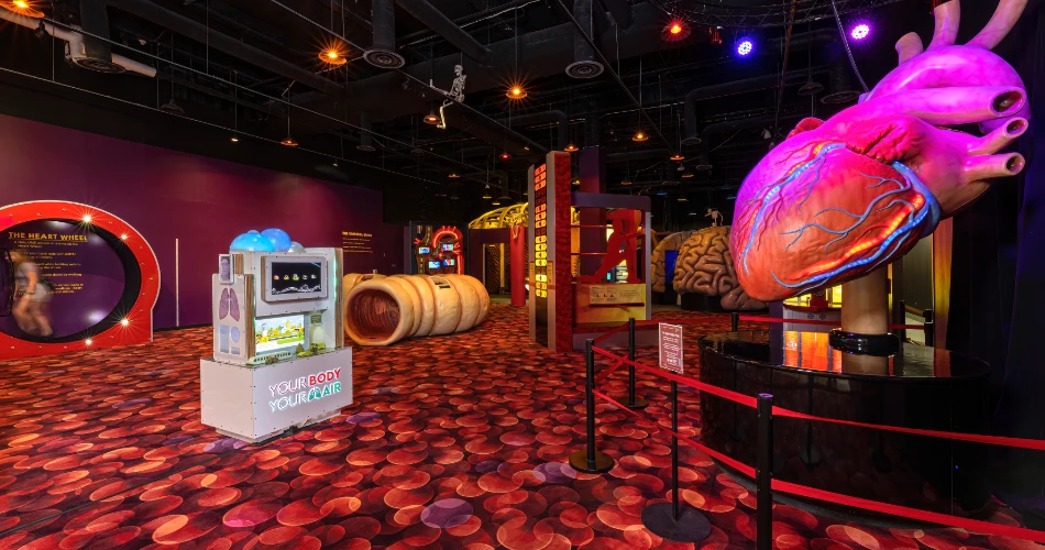 Top 8 Things to Do in Houston with Kids