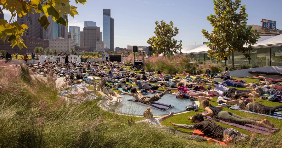 Top 20 Things to Do in Houston