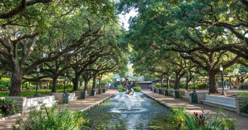 Top 20 Things to Do in Houston