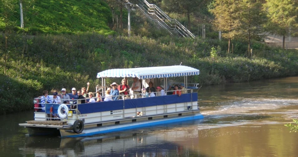 Top 20 Things to Do in Houston