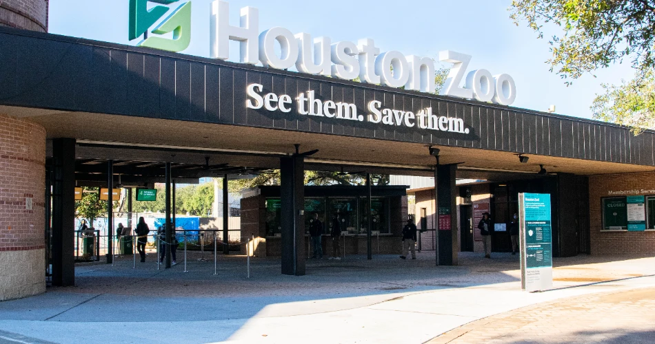 Top 20 Things to Do in Houston