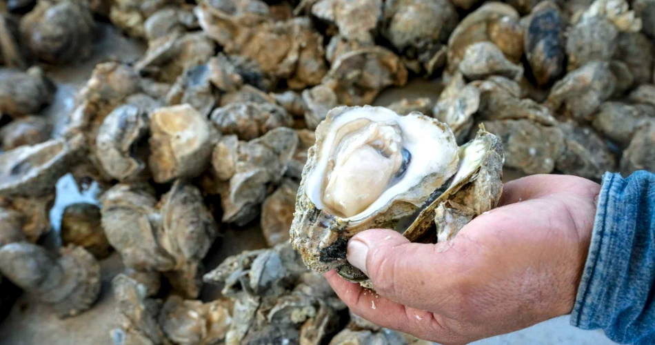 10 cosas por las que Houston es conocido