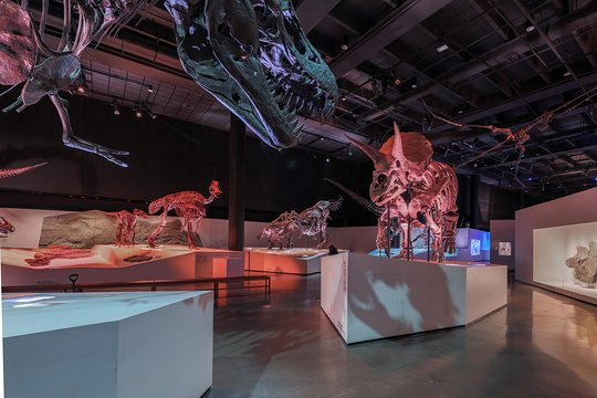 Tour image 1